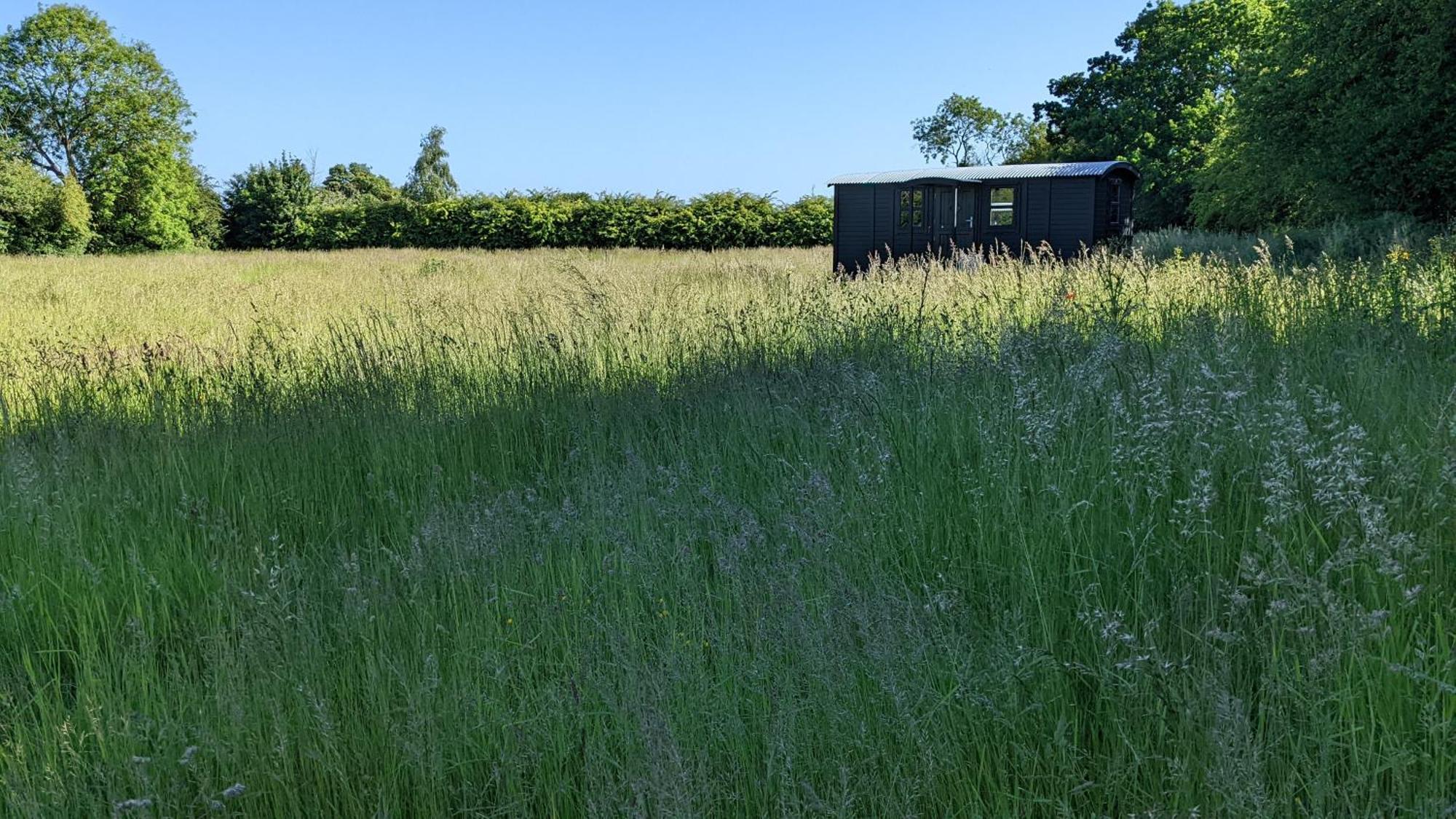 Blue Sky Huts Chediston Exterior foto