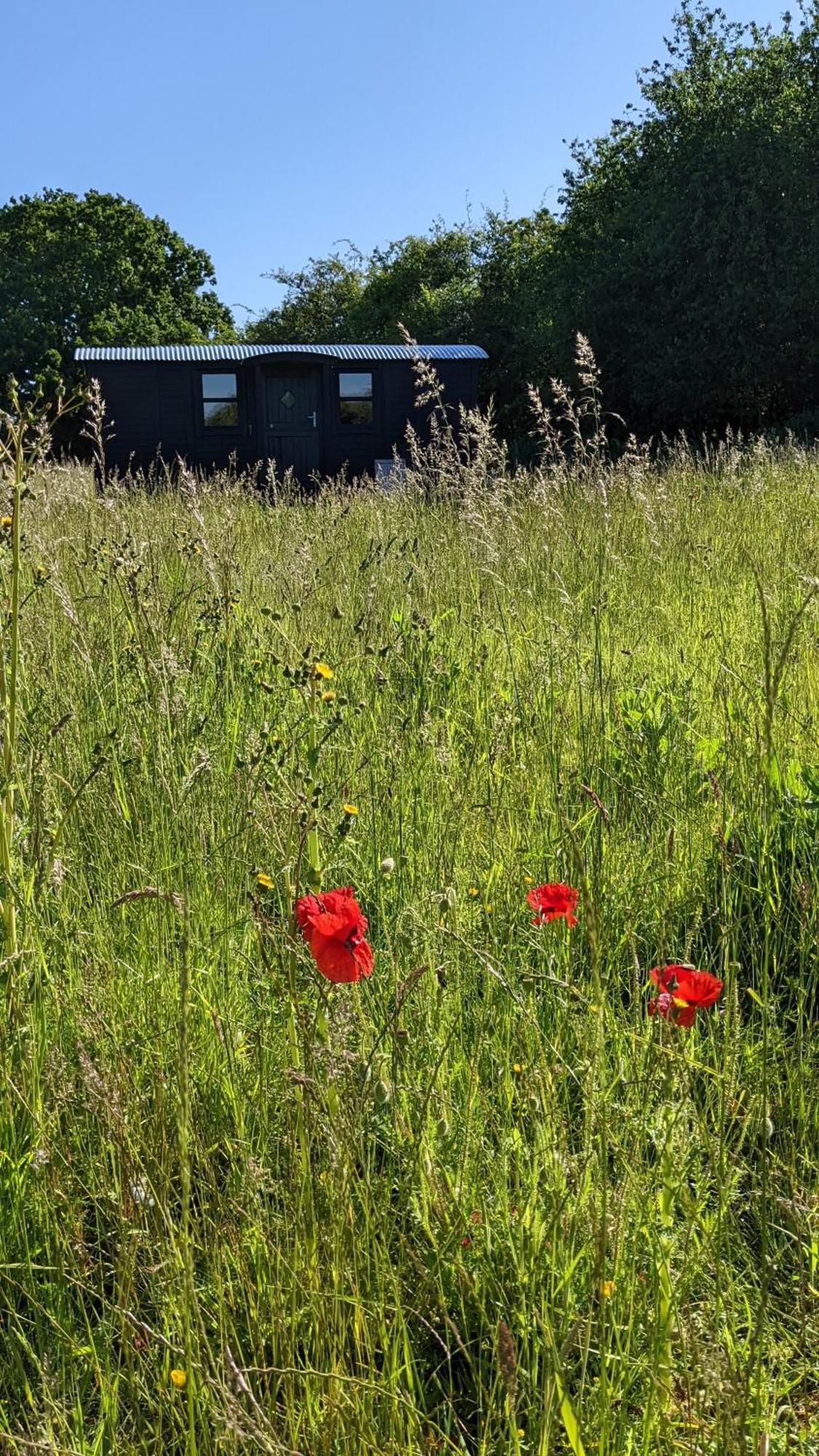 Blue Sky Huts Chediston Exterior foto